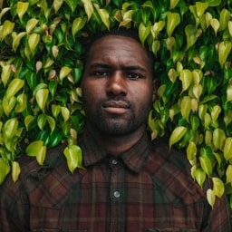 Drake standing under foliage.